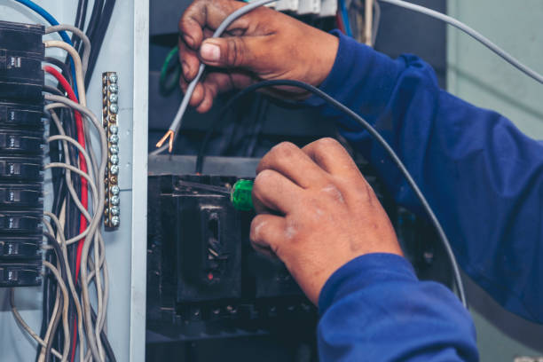 Best Electric Panel Repair  in Carthage, NC